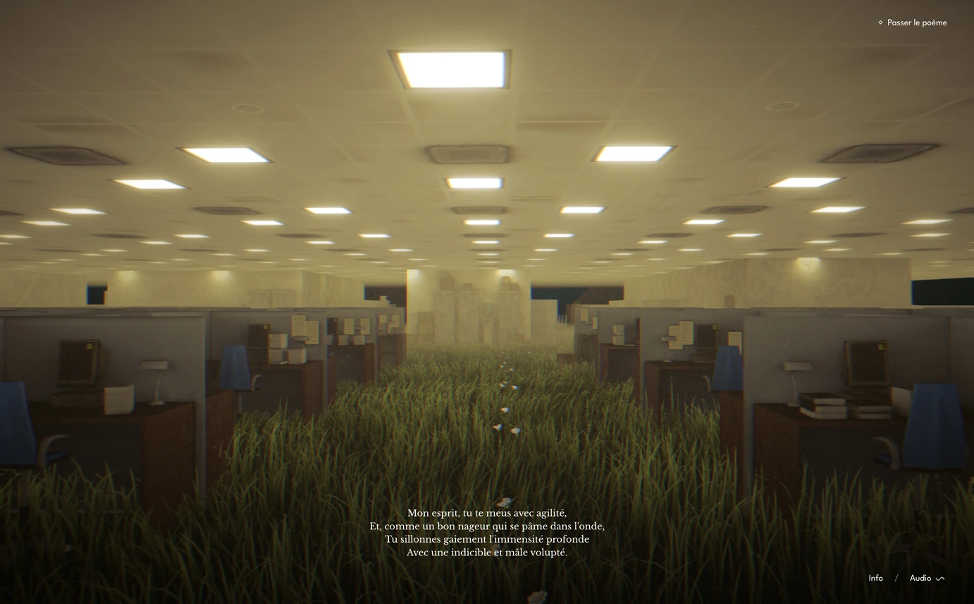 Image du projet